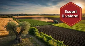 Trattore che lavora un terreno agricolo al tramonto con campi coltivati